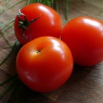 トマト〜最強の抗酸化作用をもつリコピンをたくさん含んでます！低カロリーなのでダイエットにオススメです♪